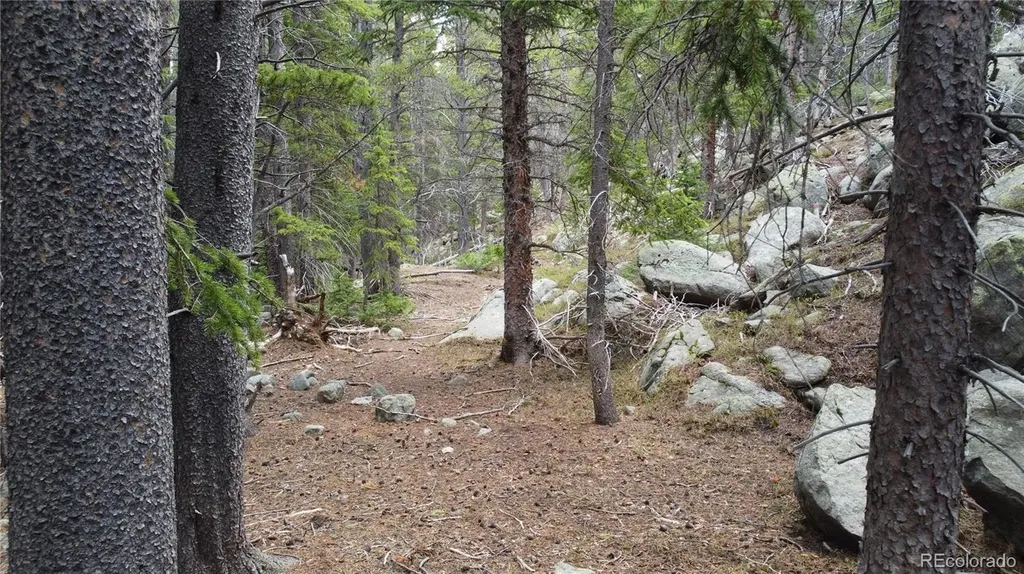 000 Brook Drive Idaho Springs CO 80452