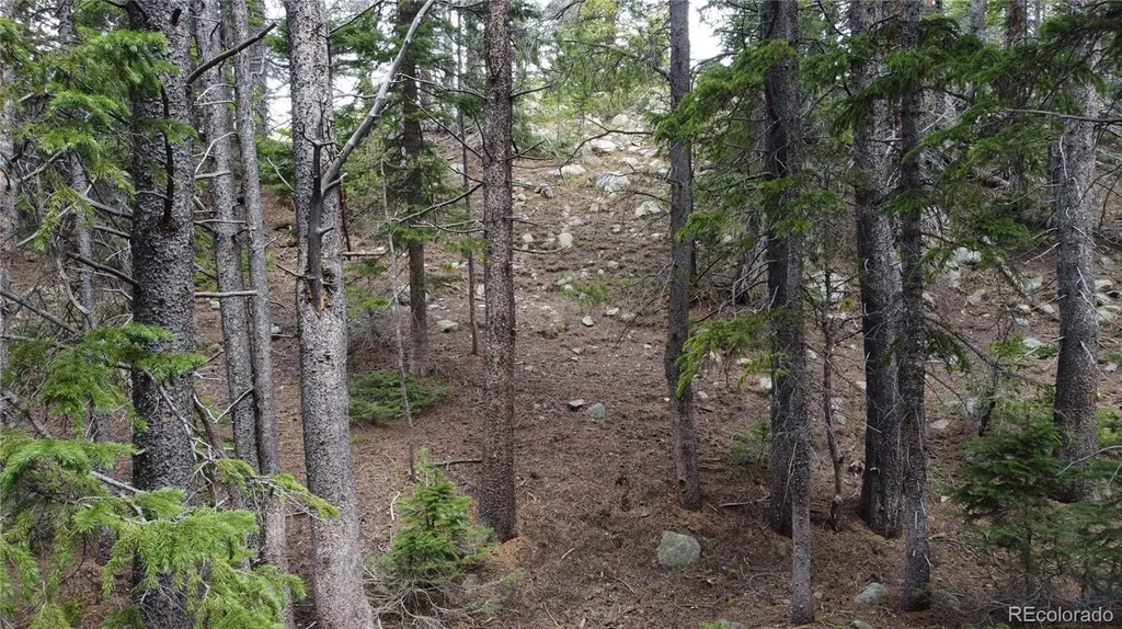 000 Brook Drive Idaho Springs CO 80452