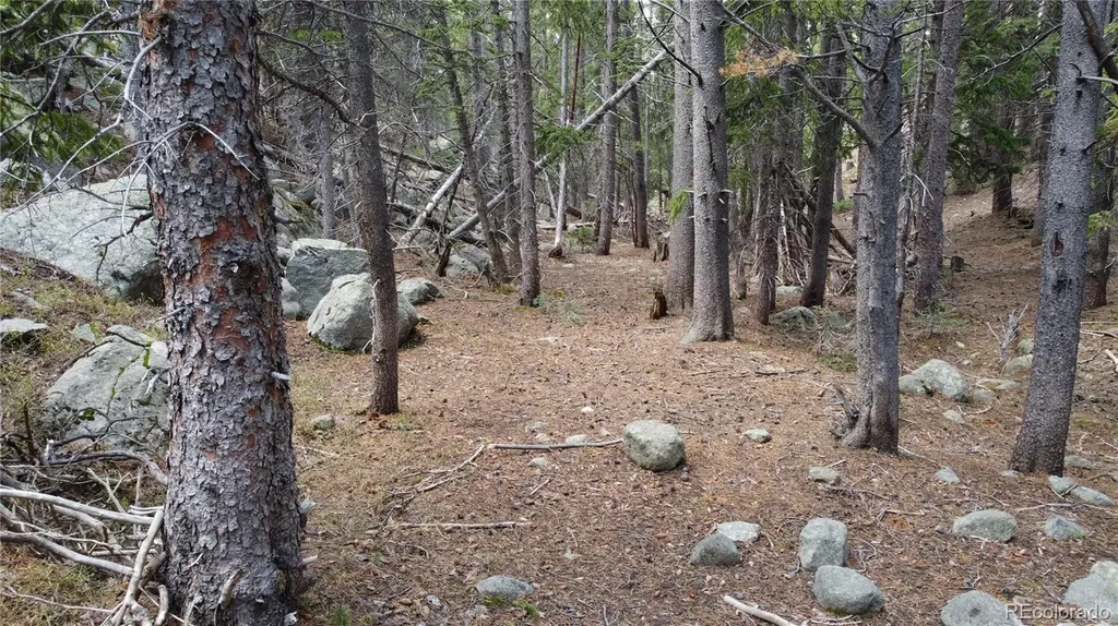000 Brook Drive Idaho Springs CO 80452