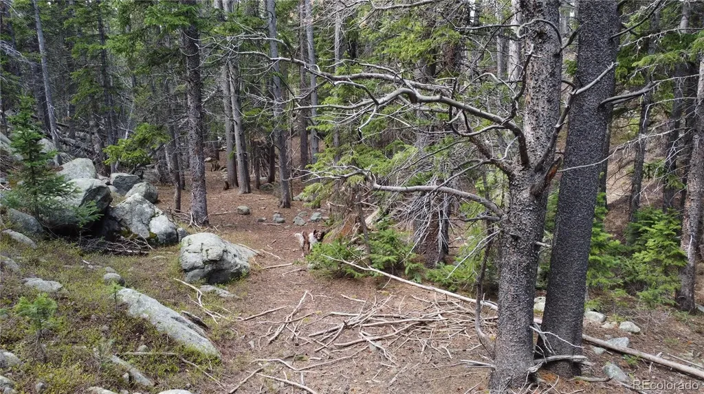 000 Brook Drive Idaho Springs CO 80452