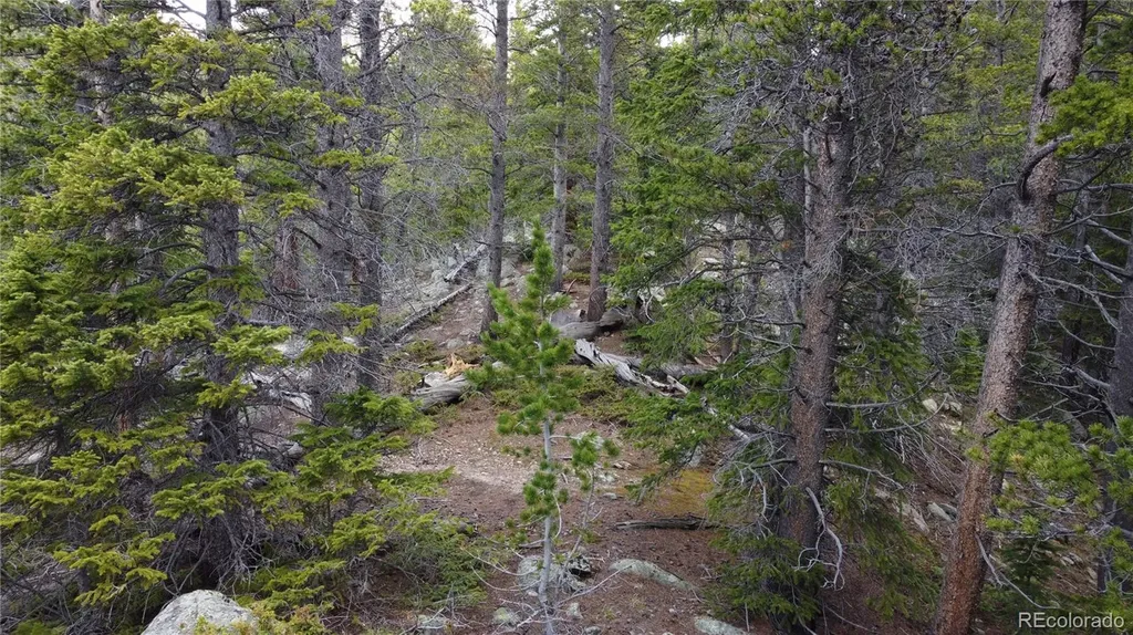 000 Brook Drive Idaho Springs CO 80452