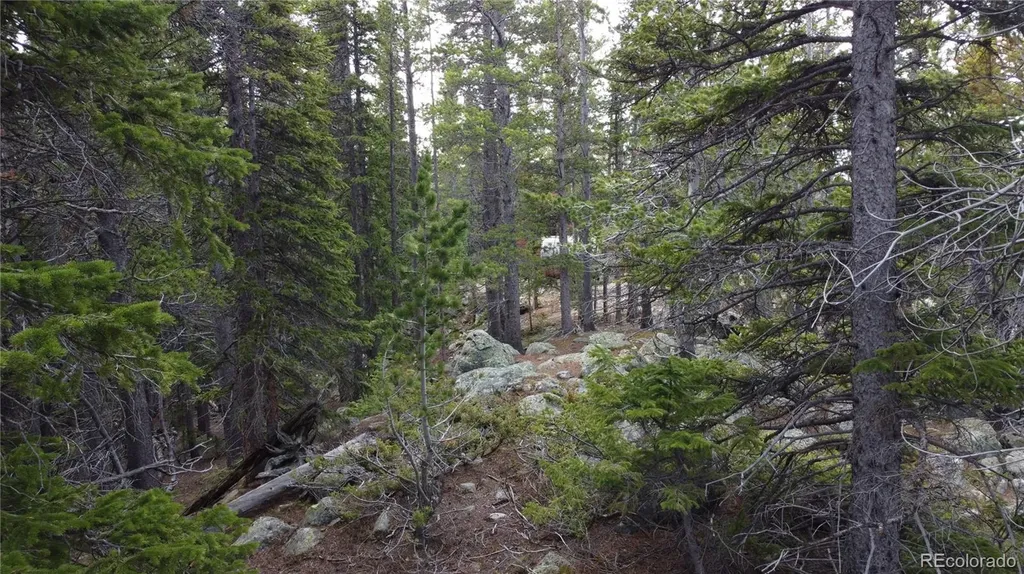 000 Brook Drive Idaho Springs CO 80452