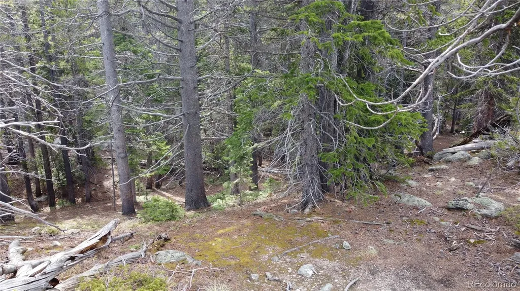 000 Brook Drive Idaho Springs CO 80452