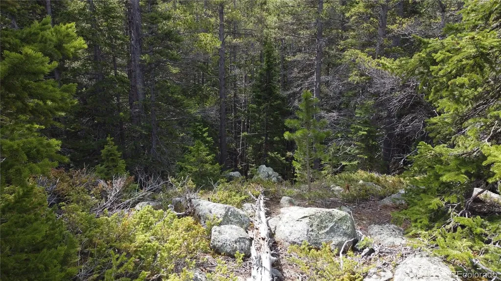000 Brook Drive Idaho Springs CO 80452