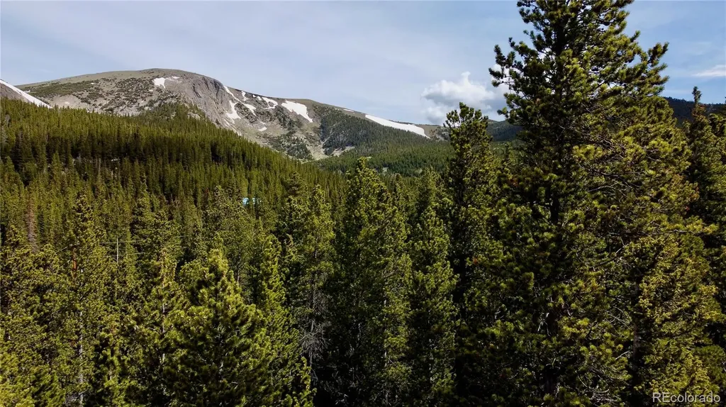 000 Brook Drive Idaho Springs CO 80452