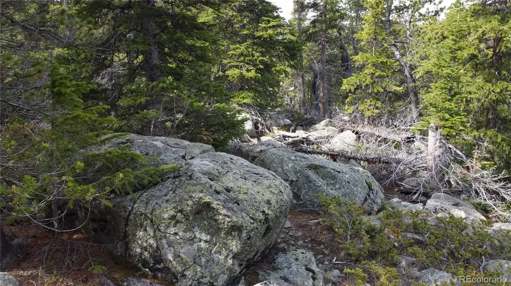 000 Brook Drive Idaho Springs CO 80452