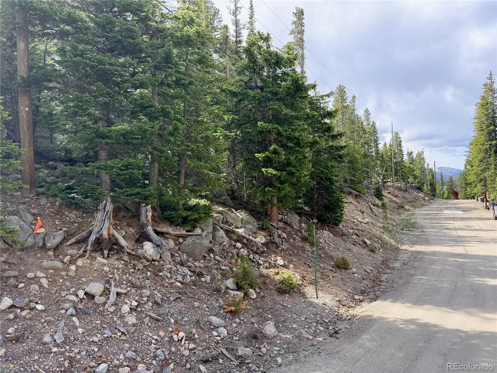 000 Brook Drive Idaho Springs CO 80452