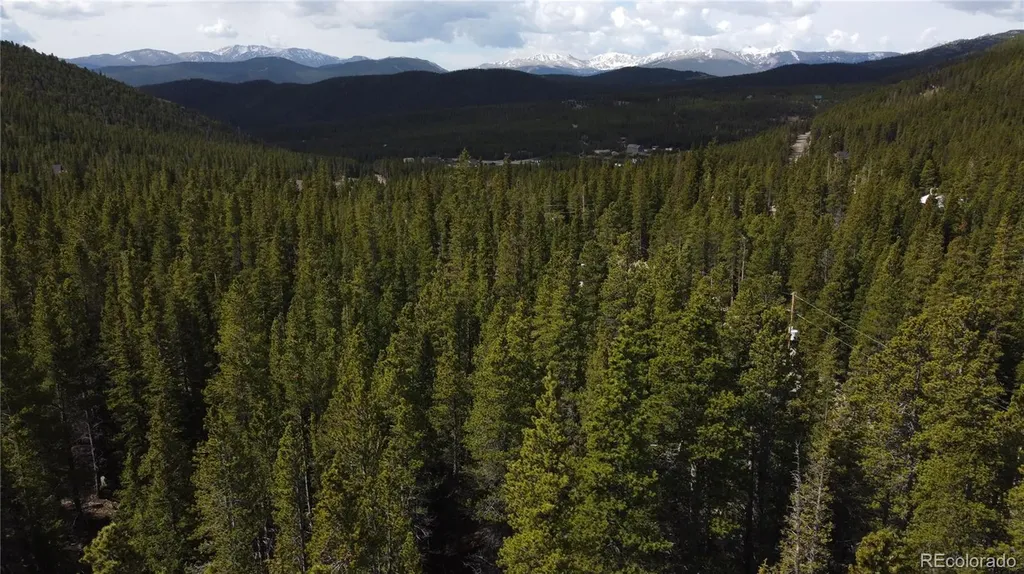 000 Brook Drive Idaho Springs CO 80452