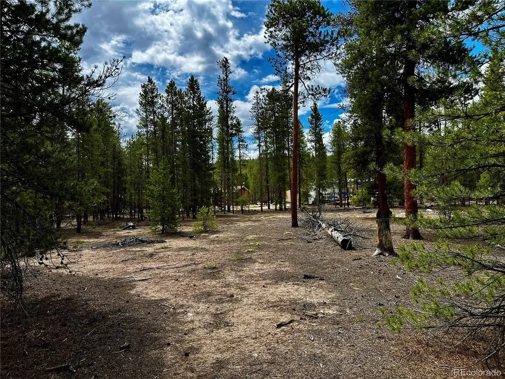 644 Birch Drive Twin Lakes CO 80461