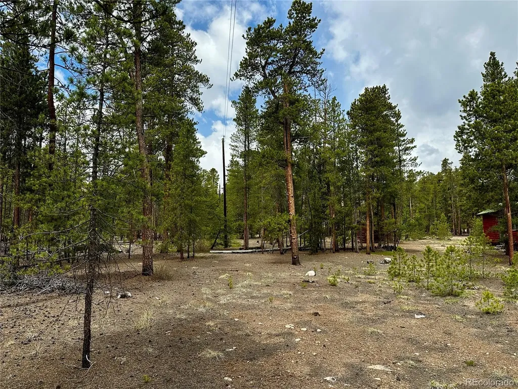 644 Birch Drive Twin Lakes CO 80461