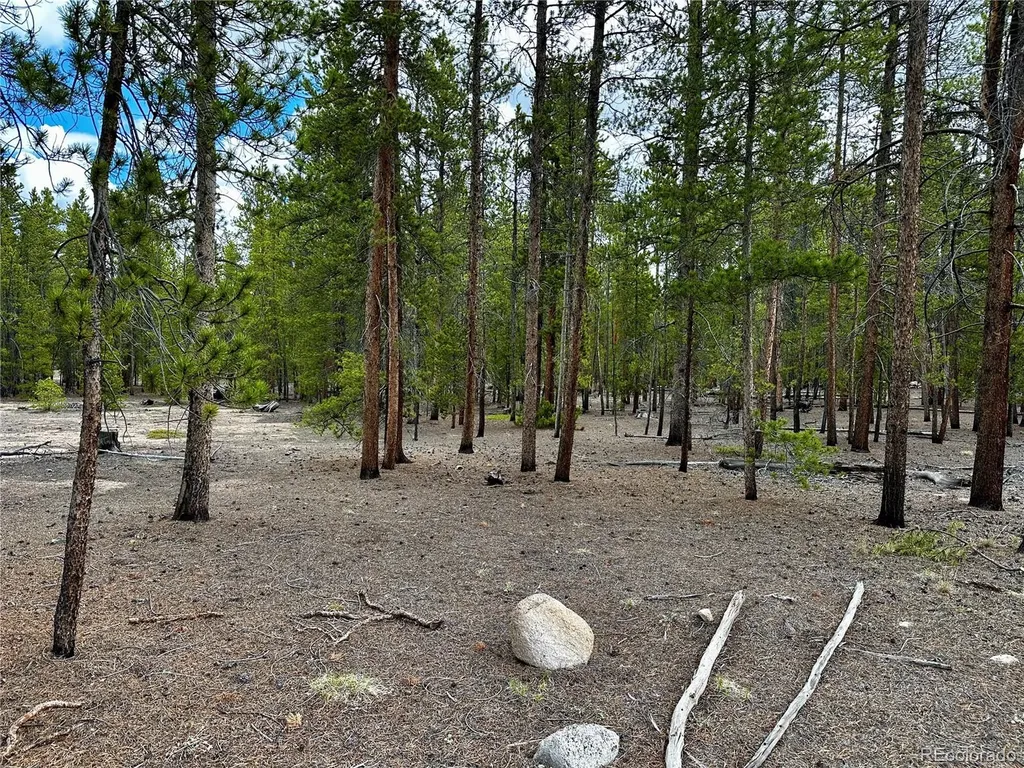 644 Birch Drive Twin Lakes CO 80461