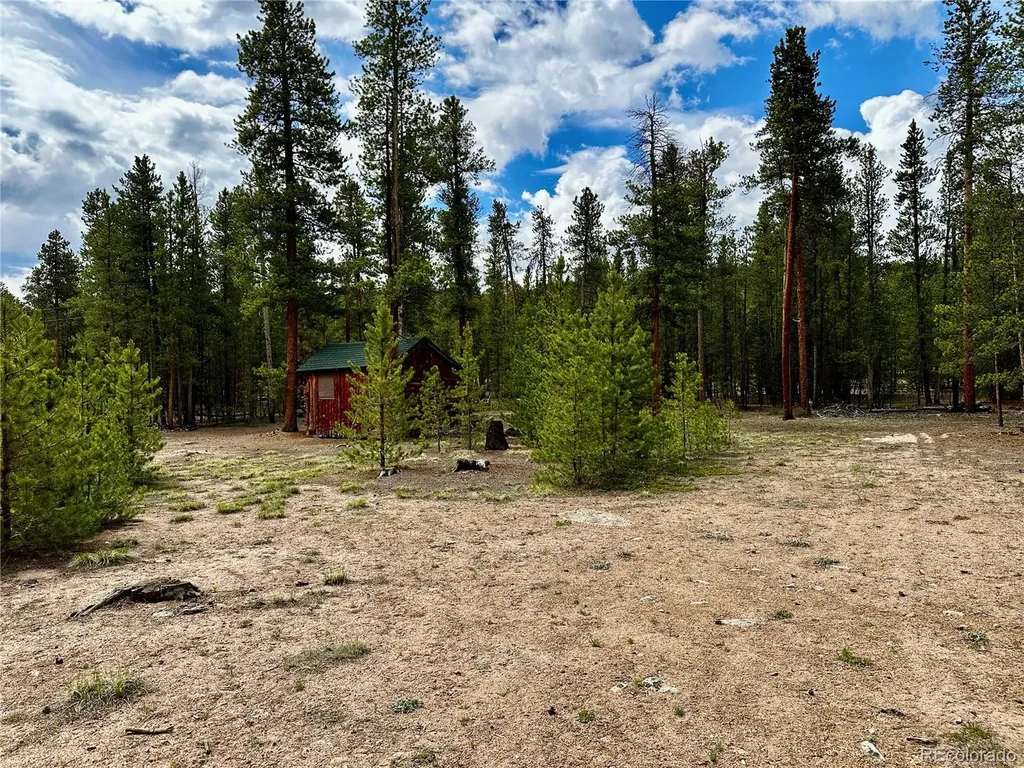 644 Birch Drive Twin Lakes CO 80461