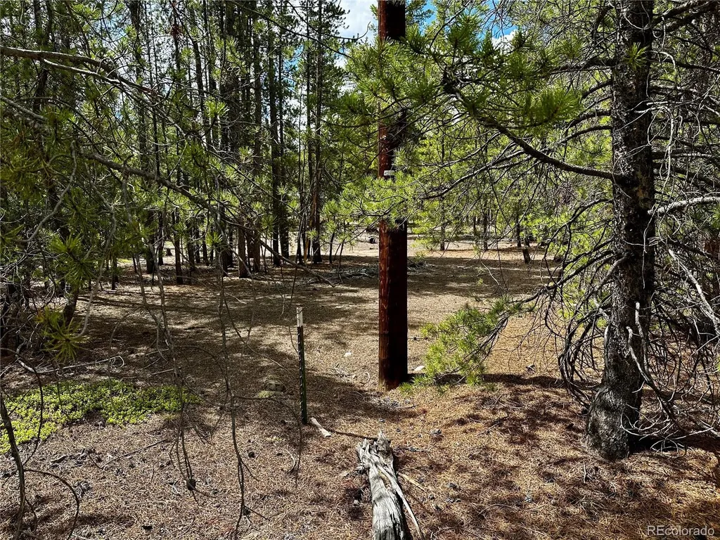644 Birch Drive Twin Lakes CO 80461