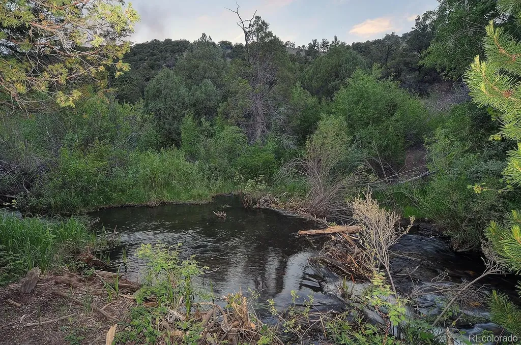 7005 County Road 221 Salida CO 81201