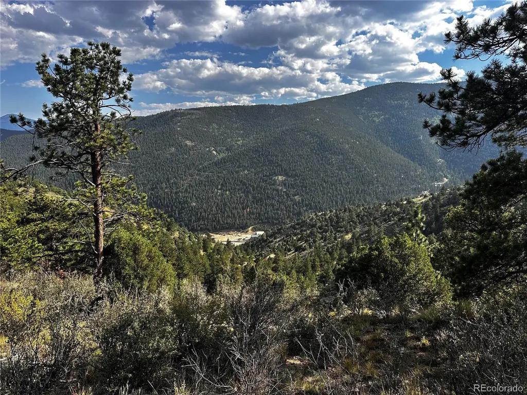 Lot 1 Eagle Mining Claim Dumont CO 80436