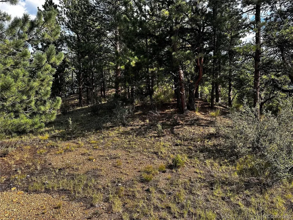 Lot 1 Eagle Mining Claim Dumont CO 80436