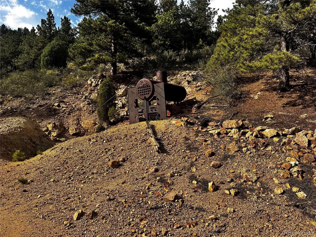 Lot 1 Eagle Mining Claim Dumont CO 80436