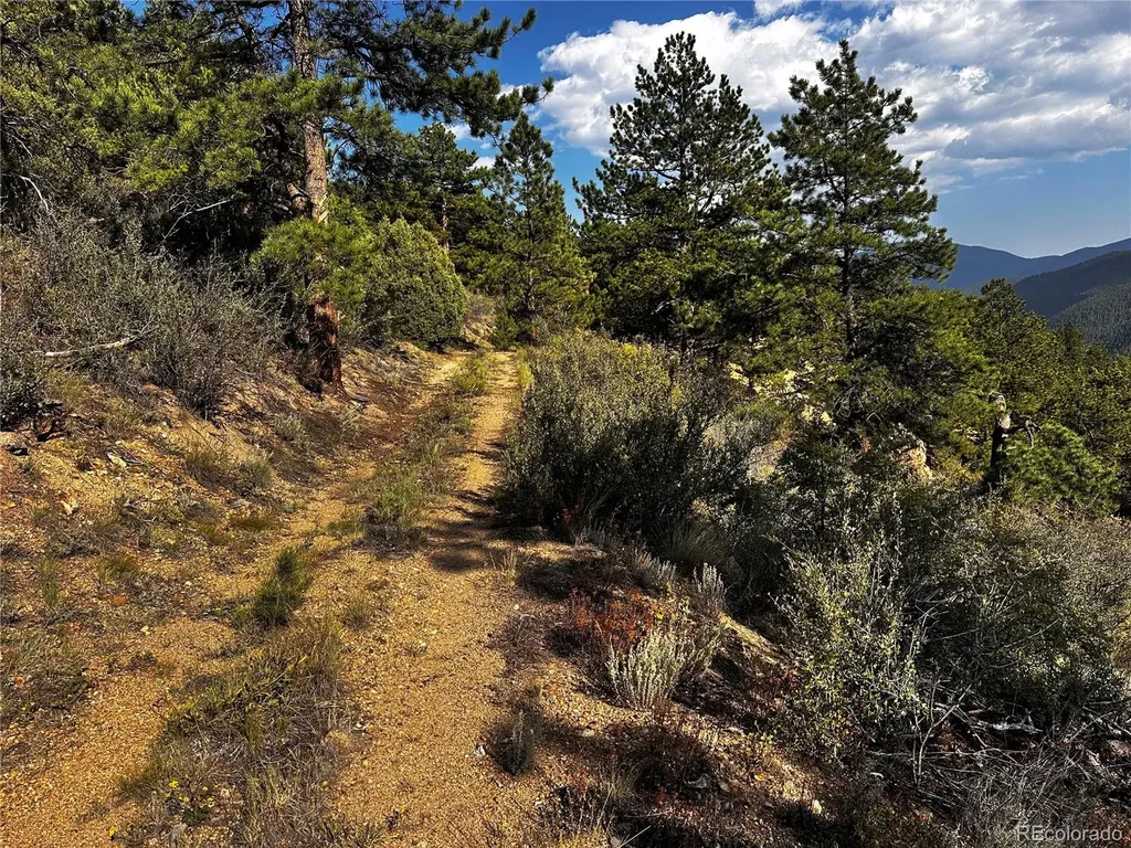 Lot 1 Eagle Mining Claim Dumont CO 80436