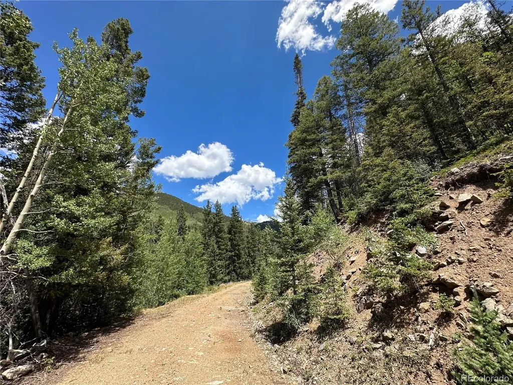 6622 Clinton Road Fort Garland CO 81133