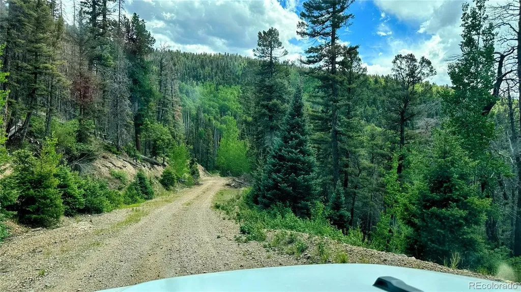 6622 Clinton Road Fort Garland CO 81133