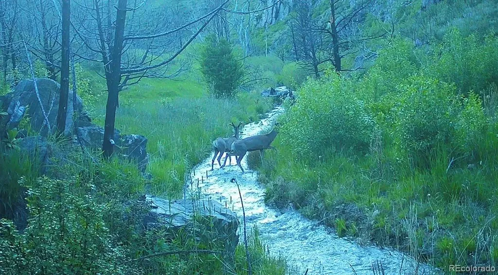 1975 Big Bear Road Loveland CO 80538