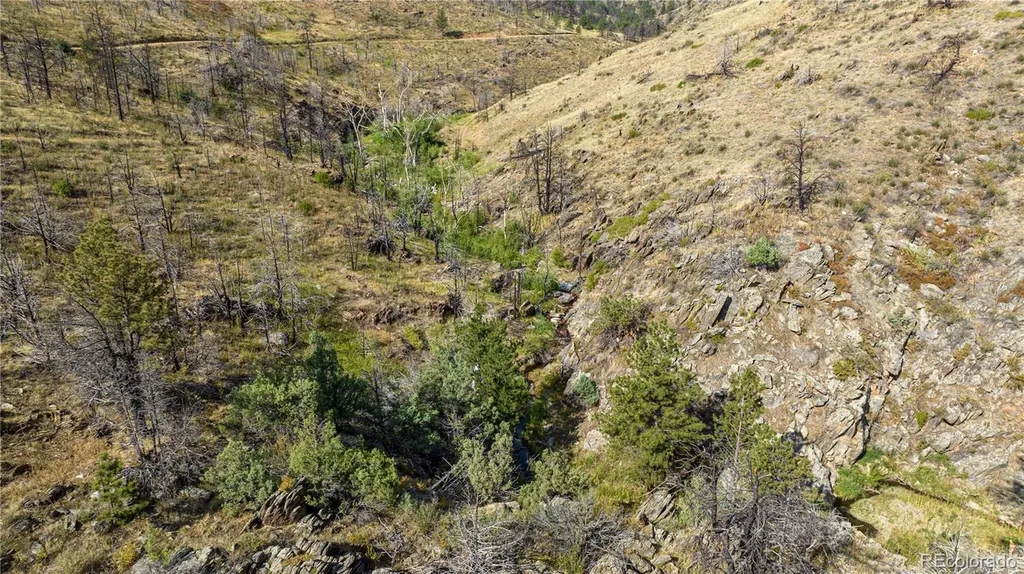 1975 Big Bear Road Loveland CO 80538