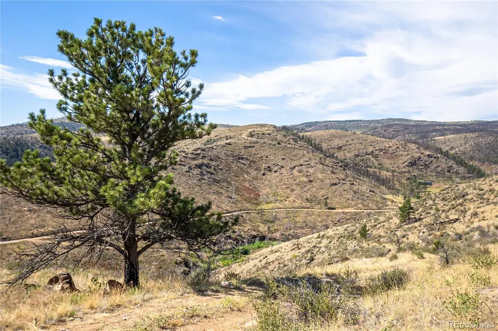 1975 Big Bear Road Loveland CO 80538
