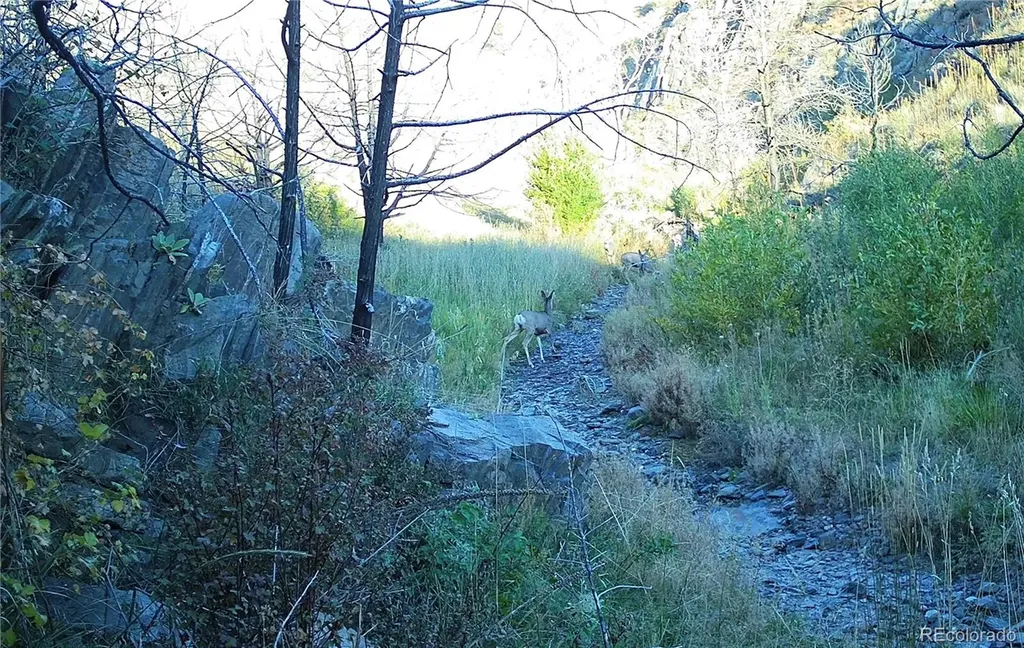 1975 Big Bear Road Loveland CO 80538