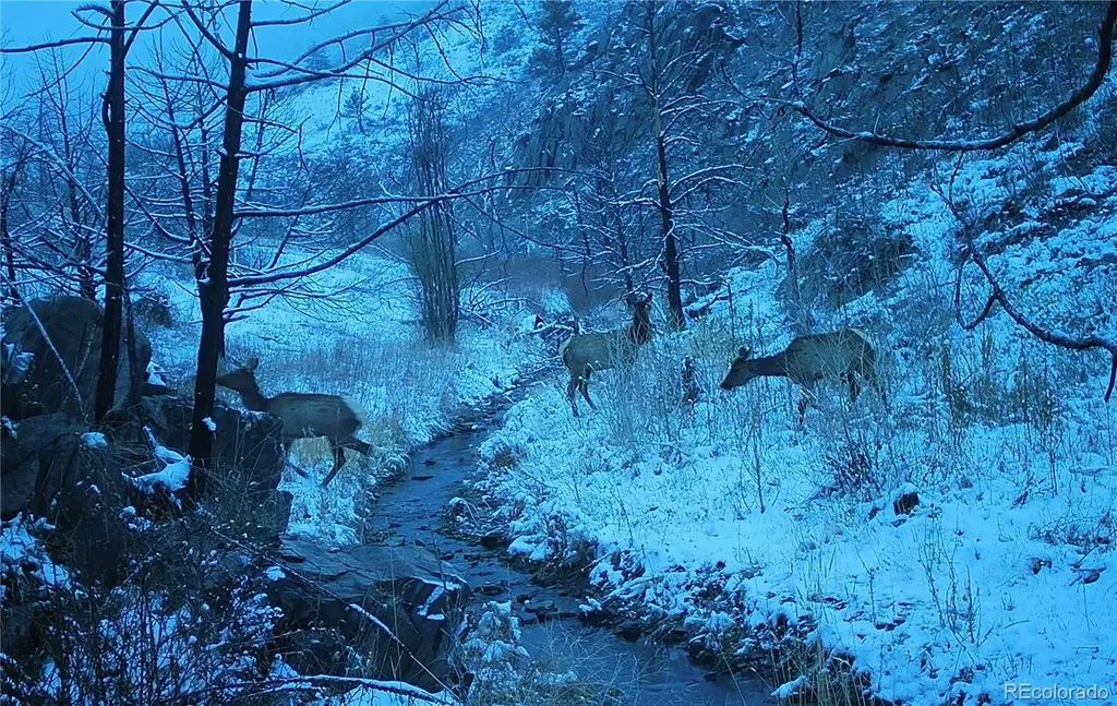 1975 Big Bear Road Loveland CO 80538