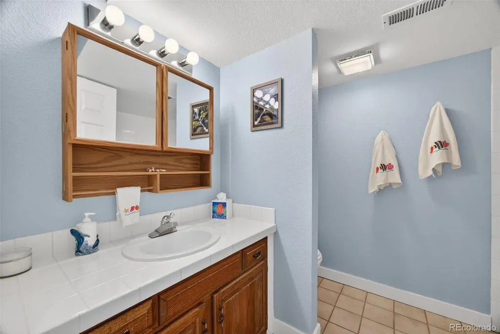 10232 Mica Way Parker CO 80134