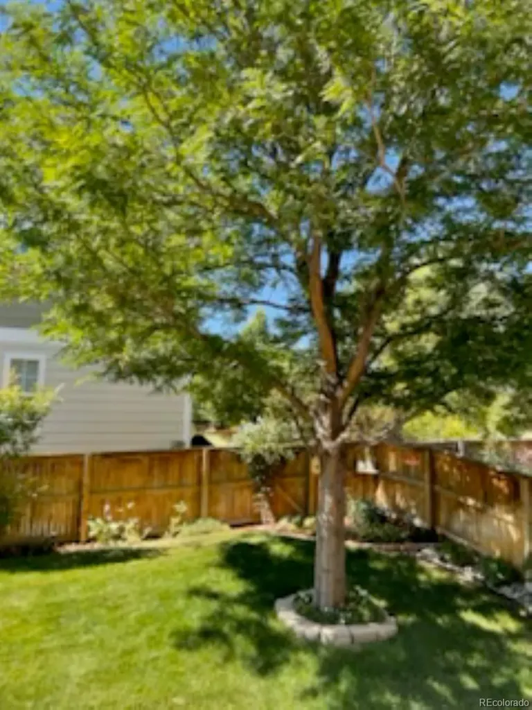 9286 Longstone Drive Parker CO 80134