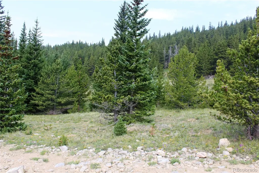 13620 Independence Idaho Springs CO 80461