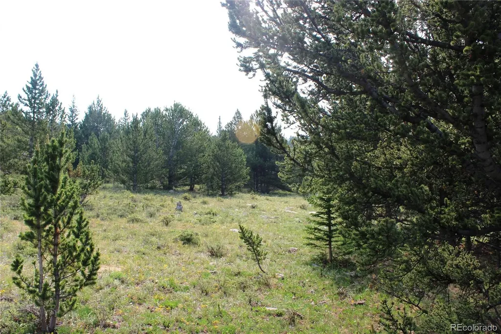 13620 Independence Idaho Springs CO 80461