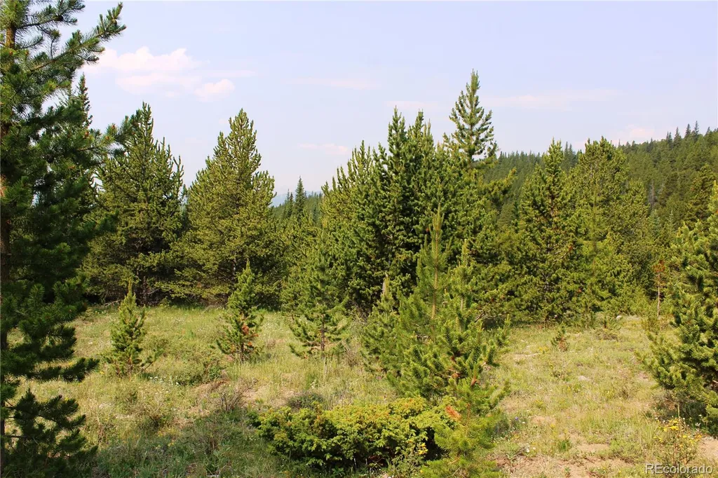 13620 Independence Idaho Springs CO 80461