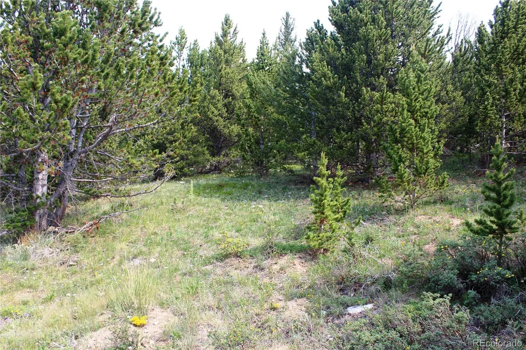 13620 Independence Idaho Springs CO 80461