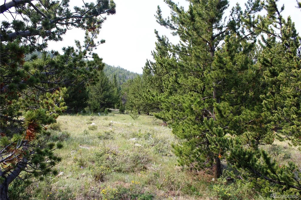 13620 Independence Idaho Springs CO 80461