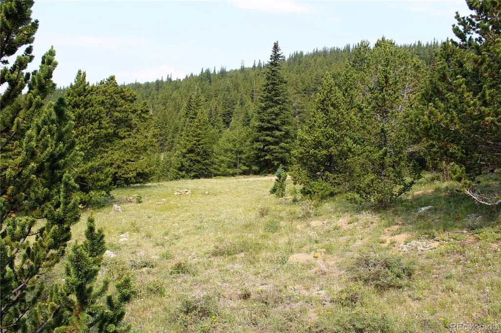 13620 Independence Idaho Springs CO 80461