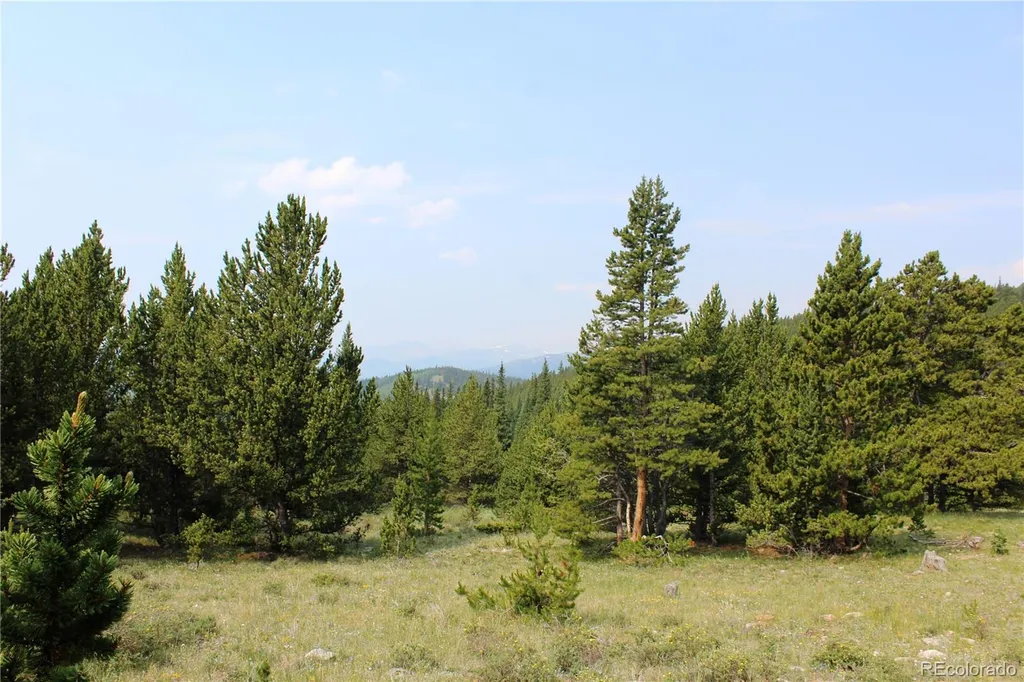13620 Independence Idaho Springs CO 80461