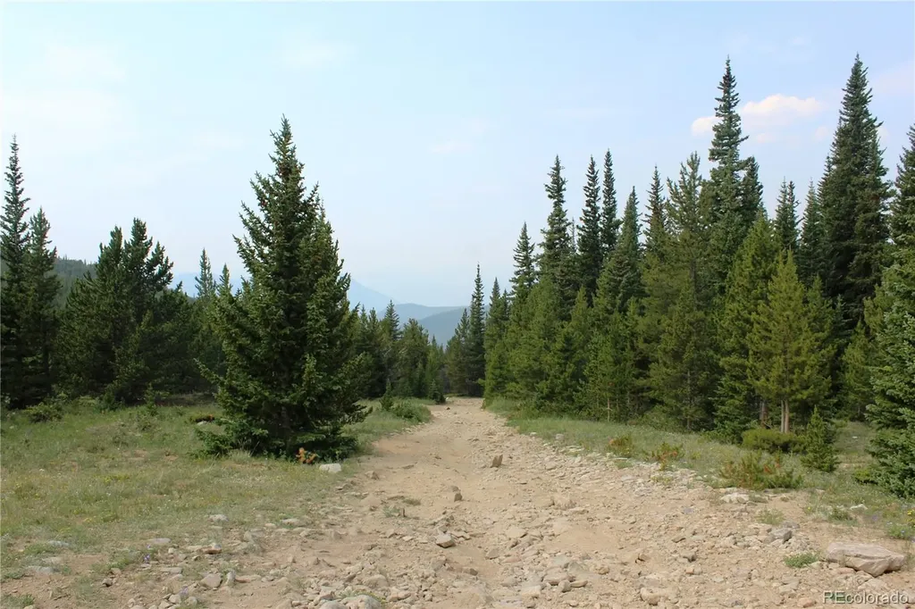 13620 Independence Idaho Springs CO 80461