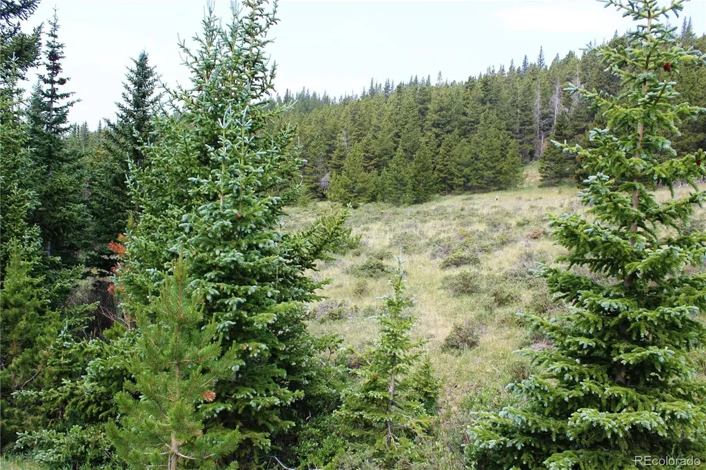 13620 Independence Idaho Springs CO 80461