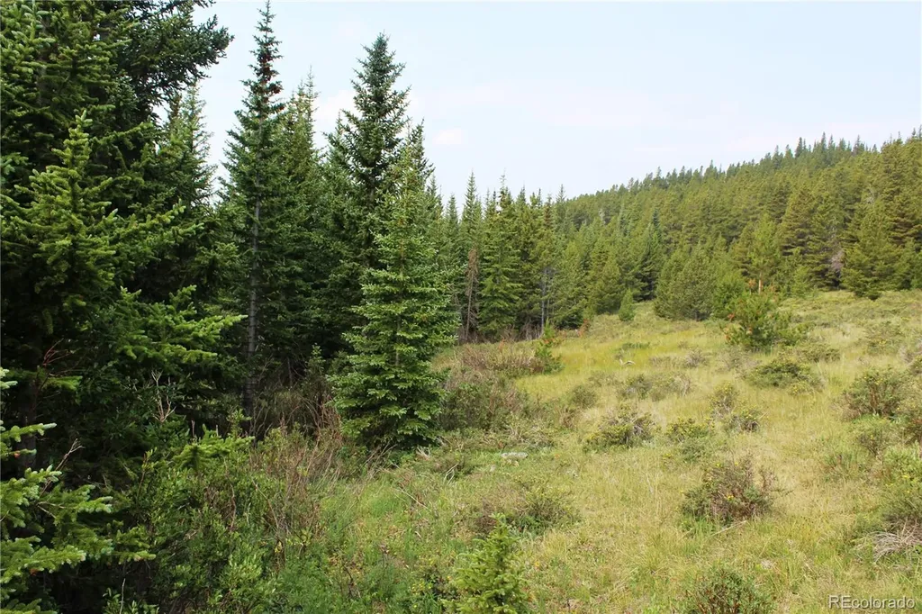 13620 Independence Idaho Springs CO 80461
