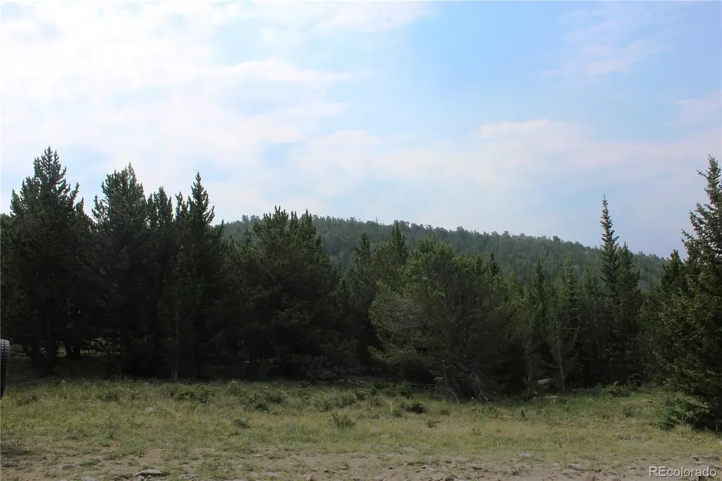 13620 Independence Idaho Springs CO 80461