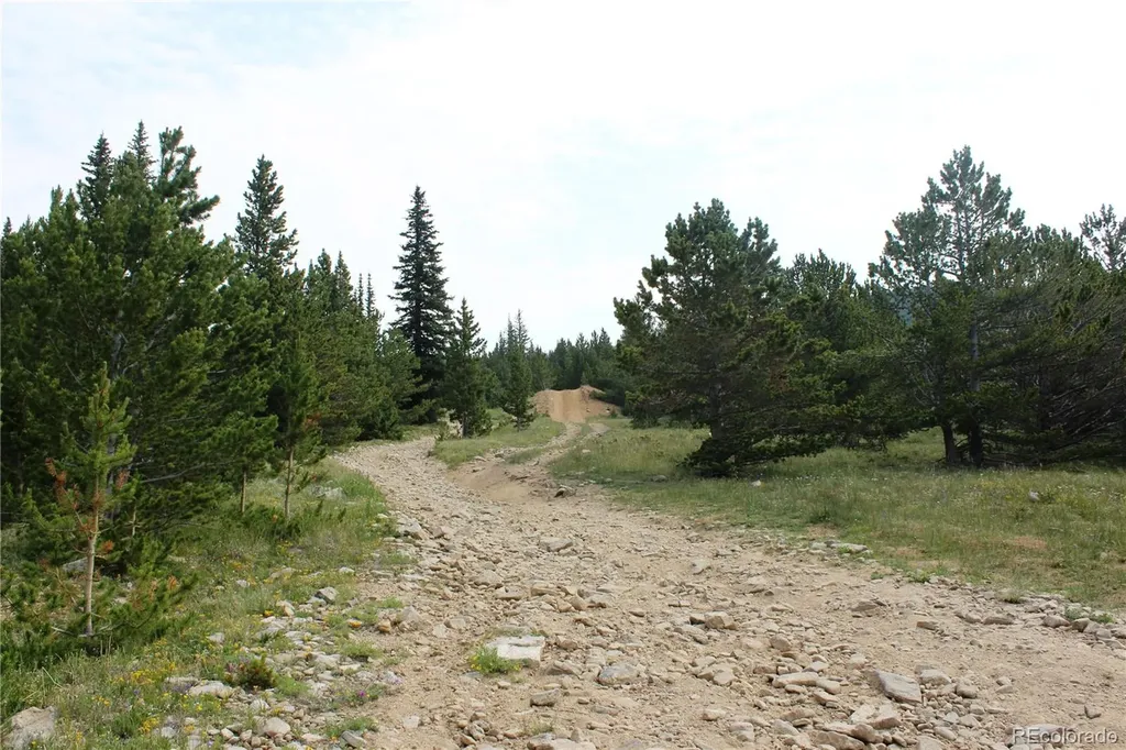 13620 Independence Idaho Springs CO 80461