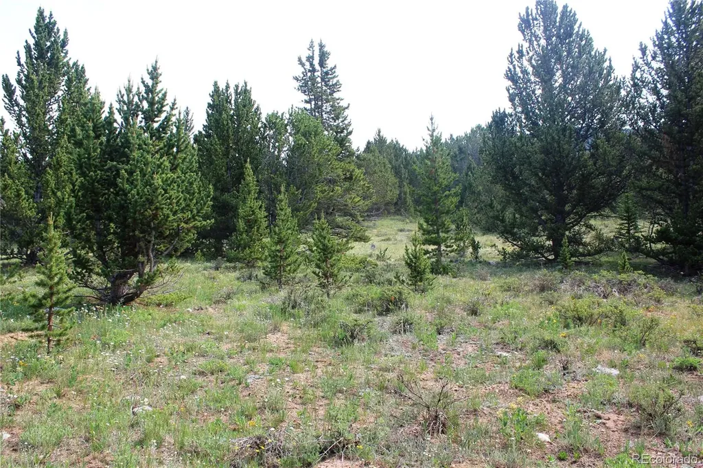 13620 Independence Idaho Springs CO 80461