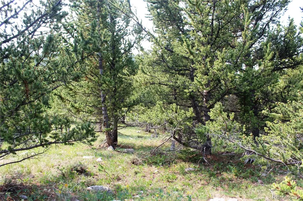 13620 Independence Idaho Springs CO 80461
