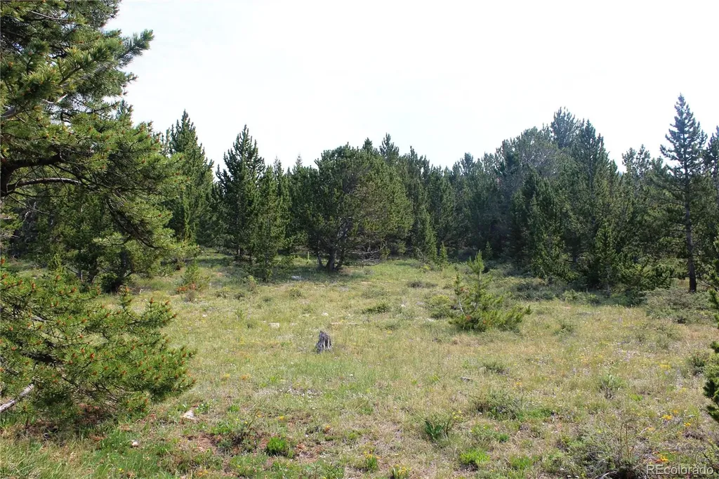 13620 Independence Idaho Springs CO 80461