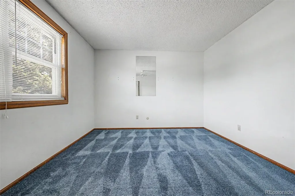 4204 E 114th Way Thornton CO 80233