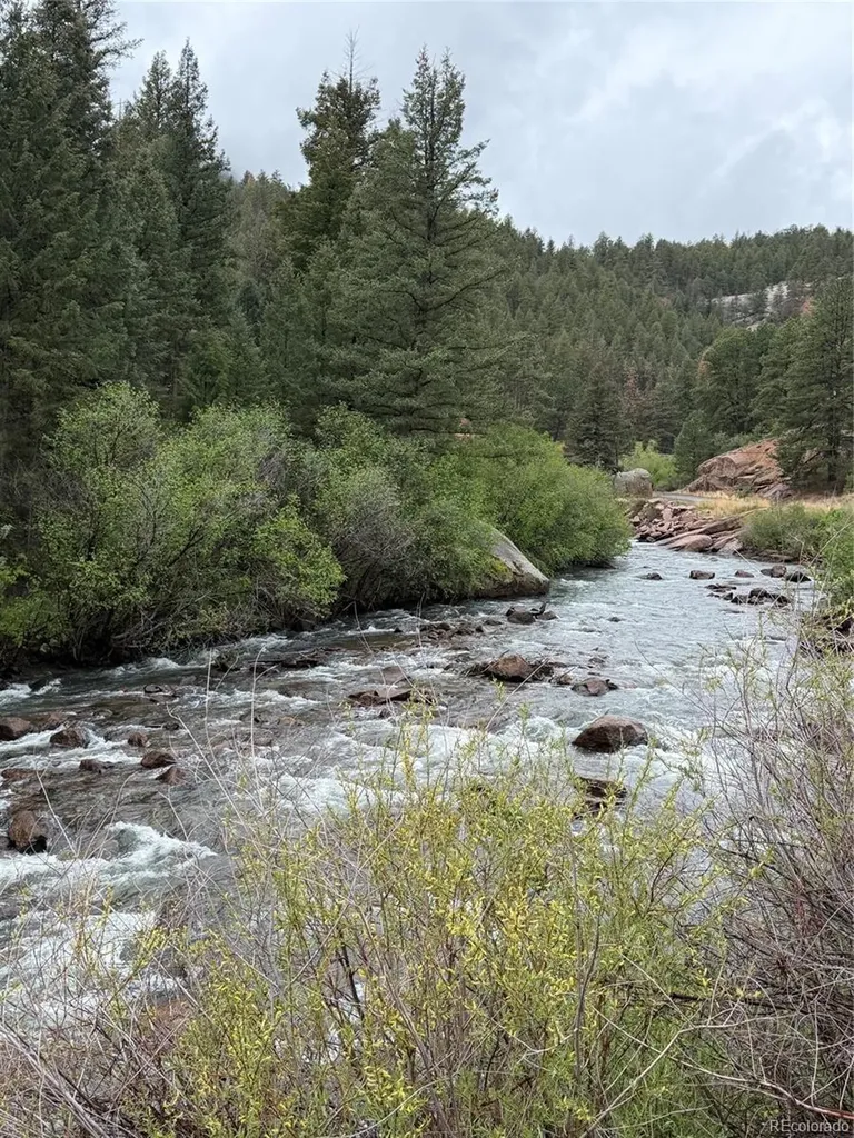 14669 S Foxton Road Conifer CO 80433