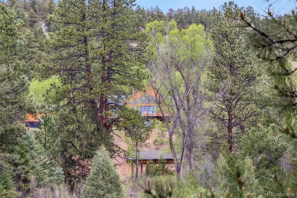 14669 S Foxton Road Conifer CO 80433