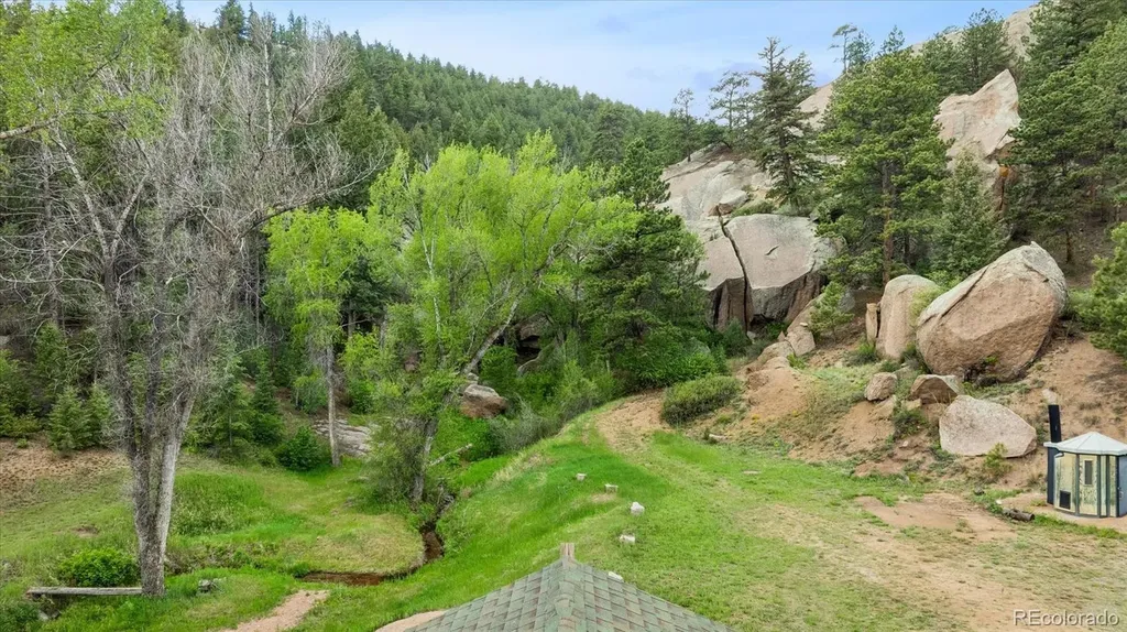 14669 S Foxton Road Conifer CO 80433
